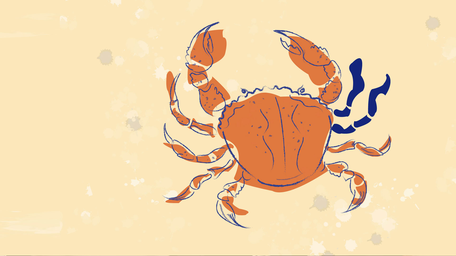 Aleksandra Wrona-Ergenekon