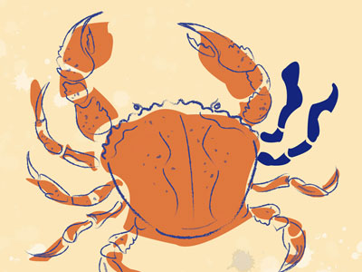 Aleksandra Wrona-Ergenekon