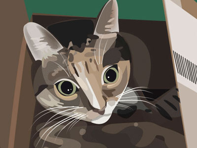 Małgorzata Sobieraj